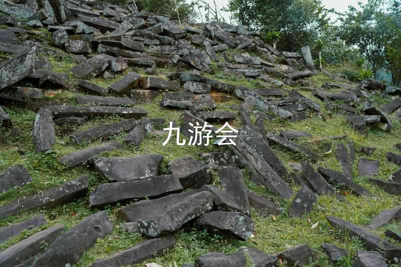 九游会